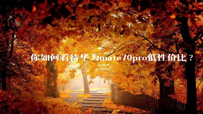你如何看待华为mate70pro低性价比?